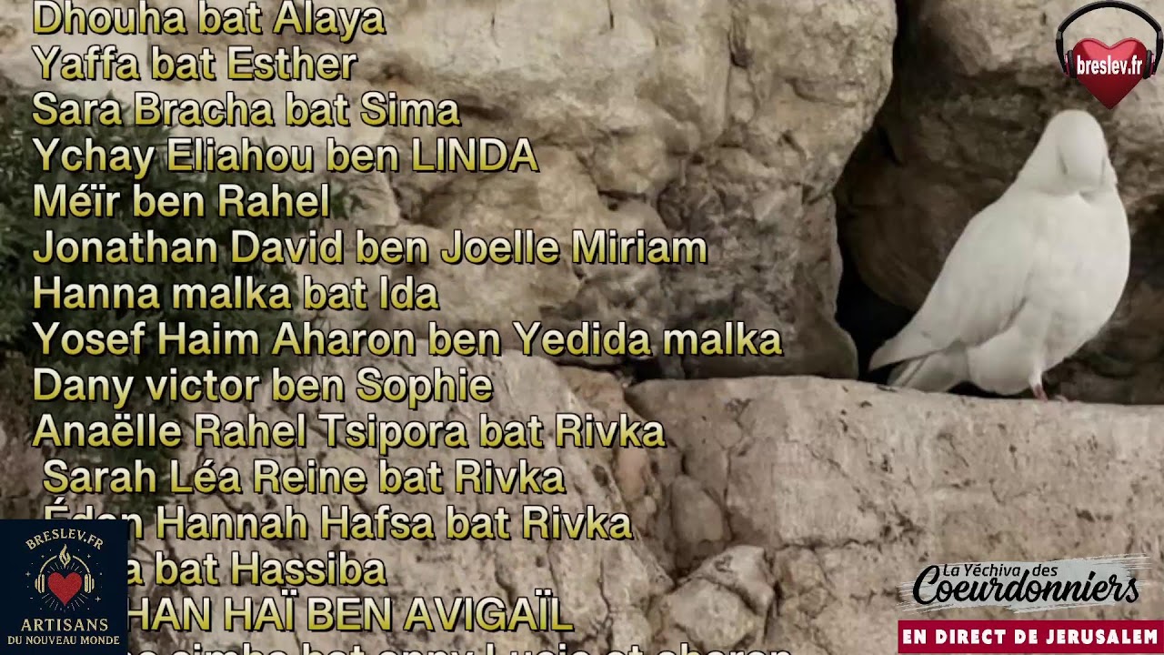 Tikoun Haclali ensemble -16 fev  - Breslev- Ouman-