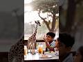mini giraffes, magical Cafés what would you name this tiny friend