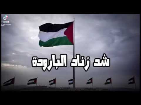 شد زناد البارودي