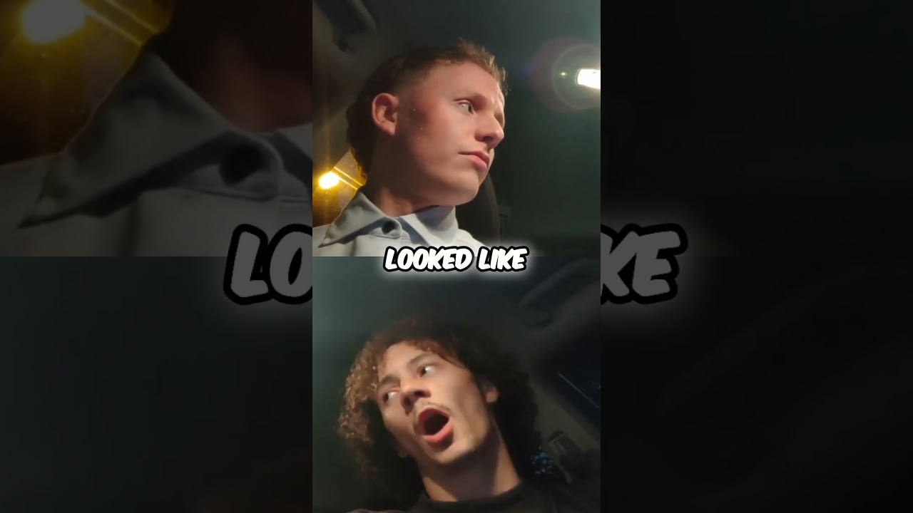 From Animation to Reality… Toothless Is Still Magic ✨