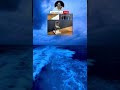 اسائح يحظم كرسي فان غوخ المرضع بسواروفسكي في لحظة طيش اسائح يحظم كرسي فان غوخ المرضع بسواروفسكي في لحظة طيش