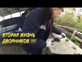 ВТОРАЯ ЖИЗНЬ ДВОРНИКОВ!!!!