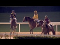 DWCC Meydan Racecourse 21-1-16, Race 1 District One Villas Handicap