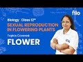 JAC Board 2026 | Sexual Reproduction in Flowering Plants – Class 12 Biology | Lecture 1: Flower