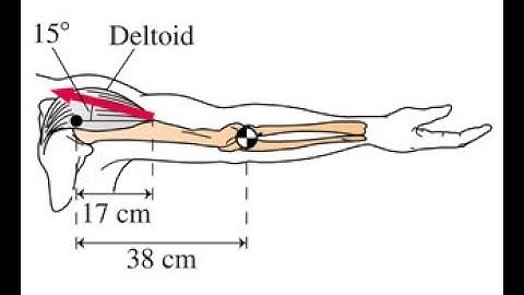 Force acted on arm by Deltoid Musicle - using Torque