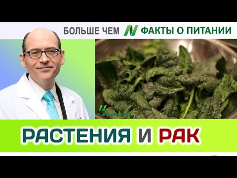 0003.Профилактика на основе растительных продуктов | Больше чем ФАКТЫ О ПИТАНИИ - Майкл Грегер