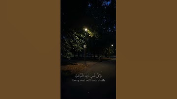 كل نفس ذائقة الموت | سورة العنكبوت | القارئ عبد الرحمن مسعد