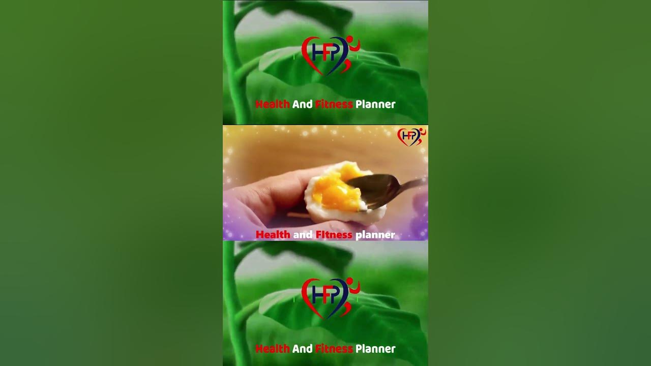 what-happens-to-your-body-when-you-eat-eggs-every-day-youtube