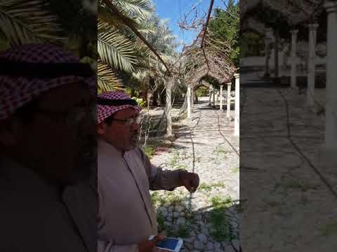 رحلتي الى محافظة العلا المملكة العربية السعودية شتاء طنطورة 2019 27