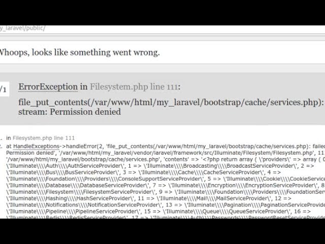 Laravel project showing Whoops, looks like something went wrong