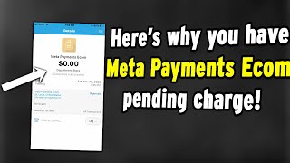 What’s Meta Payments Ecom St Louis $0.00 charge in your bank account? Is it a fraud?