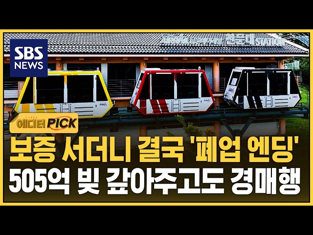 보증 서더니 결국 '폐업 엔딩'..505억 빚 갚아주고도 경매행 (에디터픽) / SBS