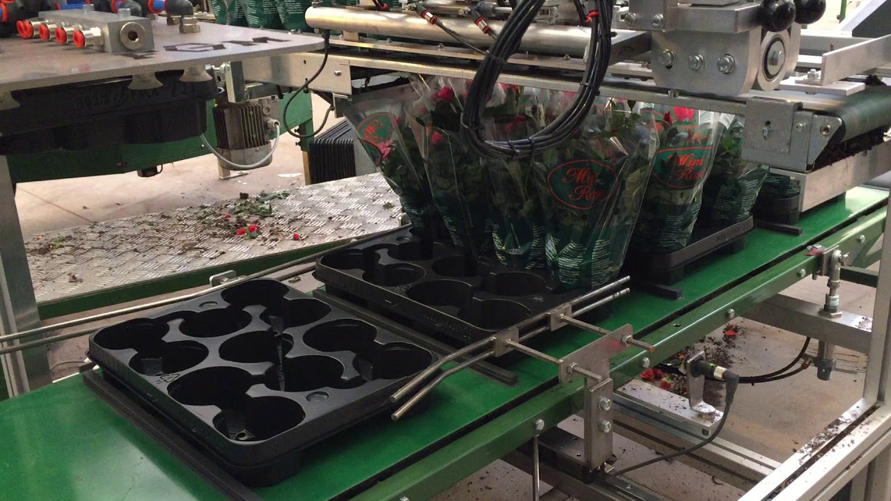 FGM Full-automatic tray filler