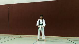 Taekwondo 2. Form
