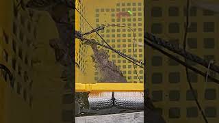 야간 낚시가능 우럭 시작 대일수산좌대 #fishing #낚시 #fishingvideos #뉴스 #shorts #AI #캠핑 #좌대 #텐트 #캠핑카 #야간낚시터 #동호회 #취미