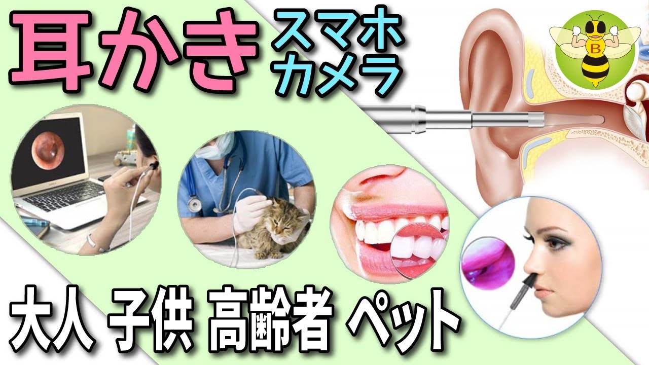 耳かき カメラ 映像を見ながら耳掃除 健康チェック おすすめ商品レビュー スマホ Pcで録画 Youtube 耳かき カメラ 映像を見ながら耳掃除 健康チェック おすすめ商品レビュー スマホ Pcで録画 Youtube