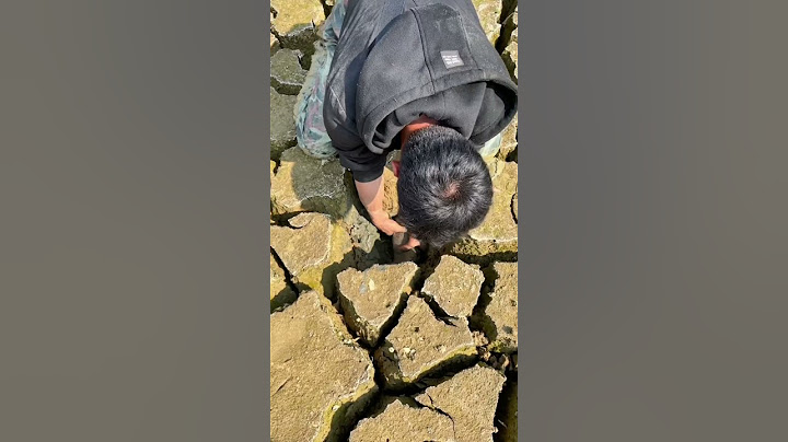 CARI IKAN DI TANAH KERING #shorts#mancingmania#bestfishing#fish#amazingvideos
