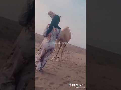دحه تستاهل يا ولد خالي