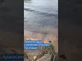 Lluvia de petróleo e incendio tras el ataque