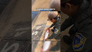 Warden Shows how to measure a fish 🐠