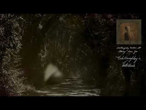 Ethel Cain Willoughby S Interlude Official Visualizer 