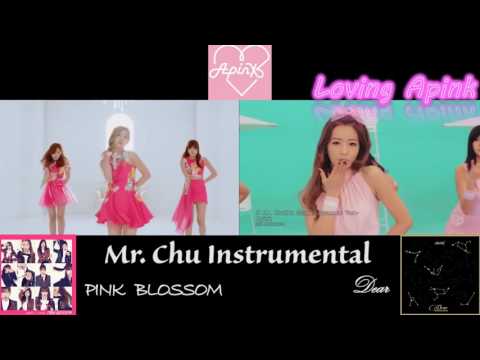 Apink 에이핑크 미스터 츄 Inst. 비교 Mr Chu Album PINK BLOSSOM & Dear Inst. Comparison