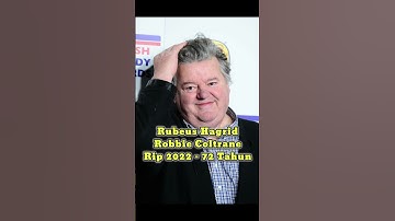 Harry Potter and the Sorcerer