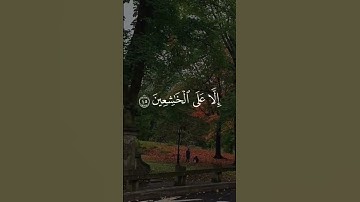 #قرآن كريم#قران كريم بصوت جميل#قران کریم🫀#قران صوت راحه نفسيه#﷽ القران الكريم#صوت قران يخشع القلوب