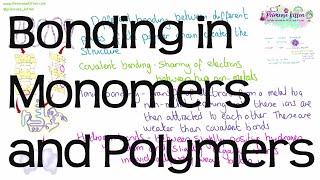 Bonding in Monomer and Polymers | Revision for A-Level Biology