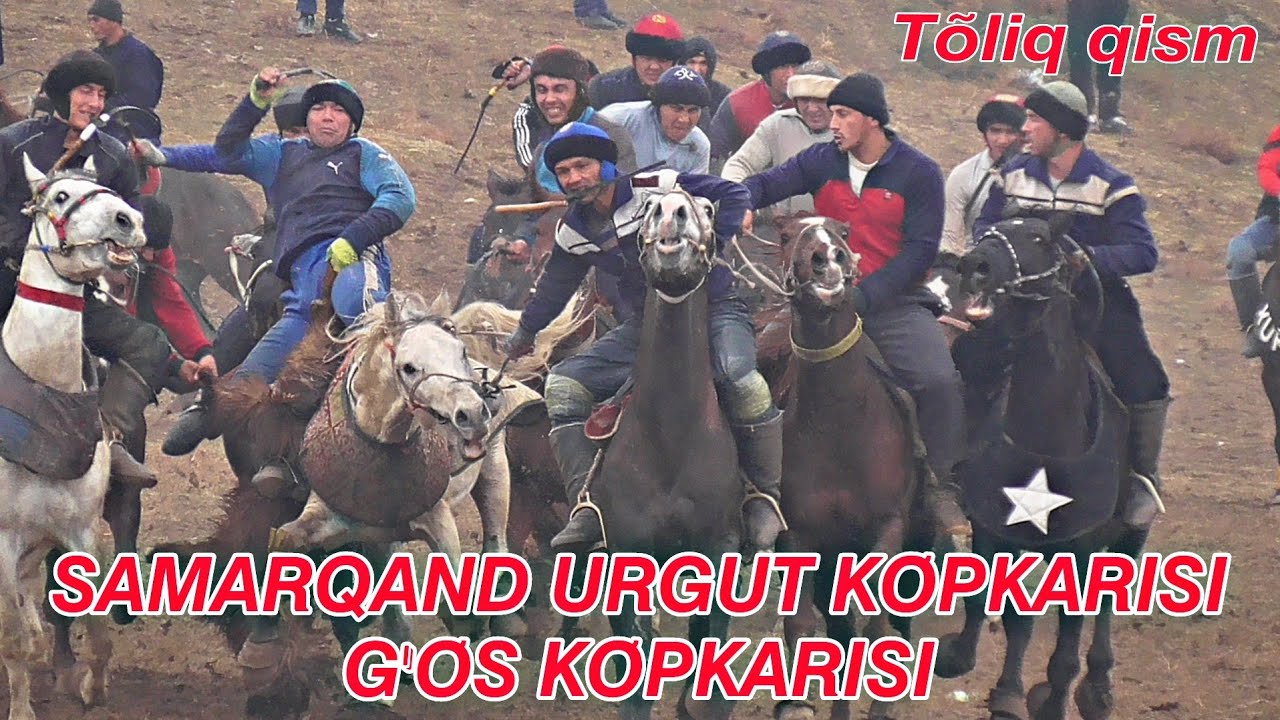 𝙎𝘼𝙈𝘼𝙍𝙌𝘼𝙉𝘿 𝙐𝙍𝙂𝙐𝙏 𝙆𝙊𝙋𝙆𝘼𝙍𝙄𝙎𝙄 25.01.2024 @Alisher_24