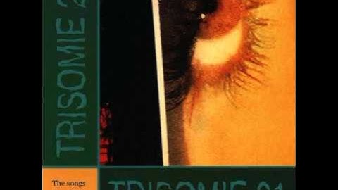 Trisomie 21 - Bamboo 2