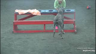 Arena Poppins Part 2 Brekkies Jami Chrise 5102024 Explore.org