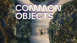 Common Objects Features Net Worth