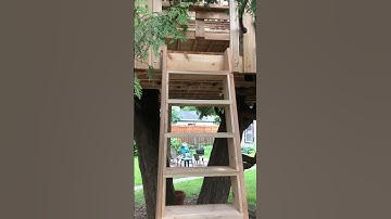 Treehouse - main ladder