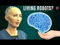 A.I. Becoming Conscious, Chat GPT, Future of AI & Loab w/ Cerena Ceaser