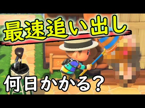 入れ替え あつまれ 住民 どうぶつ 森 の 【あつ森】「住民が入れ替わらない」の巻 /