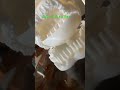 Making plus trap part five 
