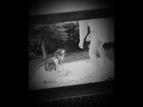 شفت وصلني هواك لوين أجمل أغاني حسين الجيسمي  