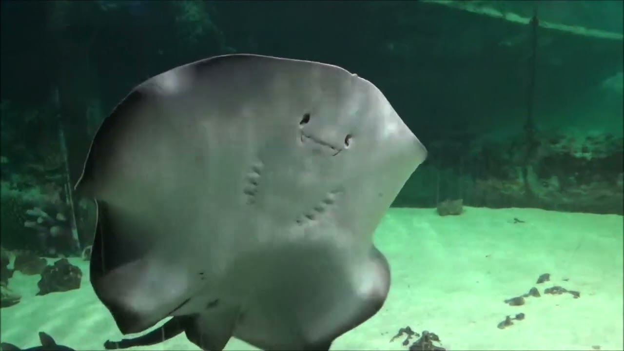 ZOO MOŘSKÝ SVĚT PRAHA