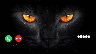 Horror Cat Ringtone | Bhoot Ringtone | Bhoot Wala Ringtone | Bhoot Ki Ringtone | Ghost Ringtone screenshot 4