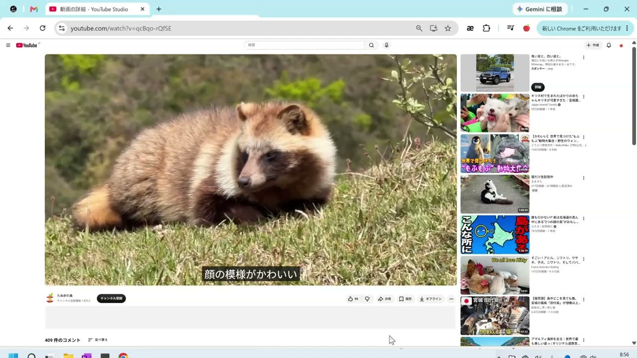 たぬきページ たぬきの島 - YouTube