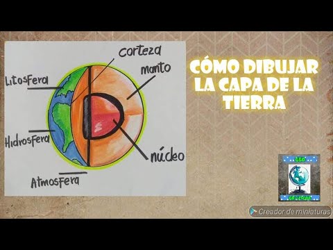 Video: Cómo Dibujar La Corteza