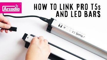 WANT TO LINK? Find Out Here How To Link Arcadia Reptile JungleDawn and ProT5