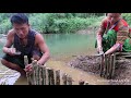 Survival skills: Build pile traps to catch fish - Unique way catch fish on river