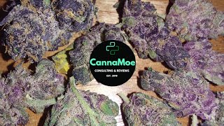 REVIEW in 4k 🟠🍊 #Cannabistada 17/1 TRO #TropicalCookies mit 17,2% THC #hybrid #sativa #Kanada