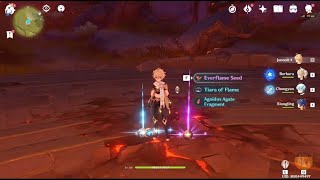 Everflame Seed: Location Spot at Minlin Liyue - Genshin Impact