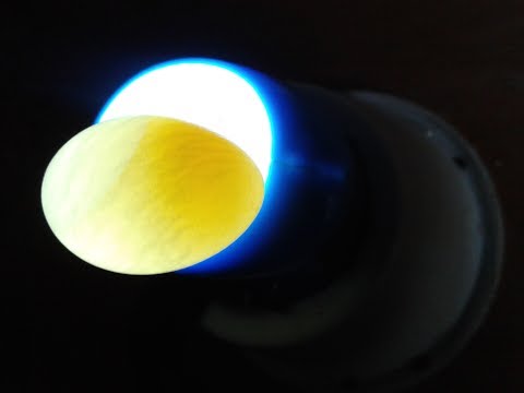 فيديو: هل البيضة الملقحة أووسبور؟