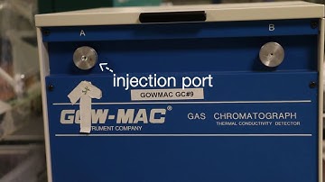 Using the Gas Chromatograph