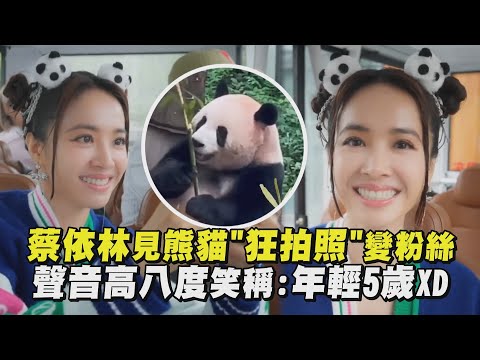 【見偶像😍】蔡依林見熊貓"狂拍照"變粉絲 聲音高八度笑稱:年輕5歲XD │ 完全娛樂