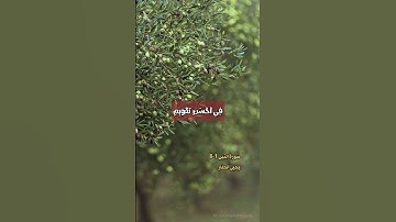 سورة التين كامله 1-8